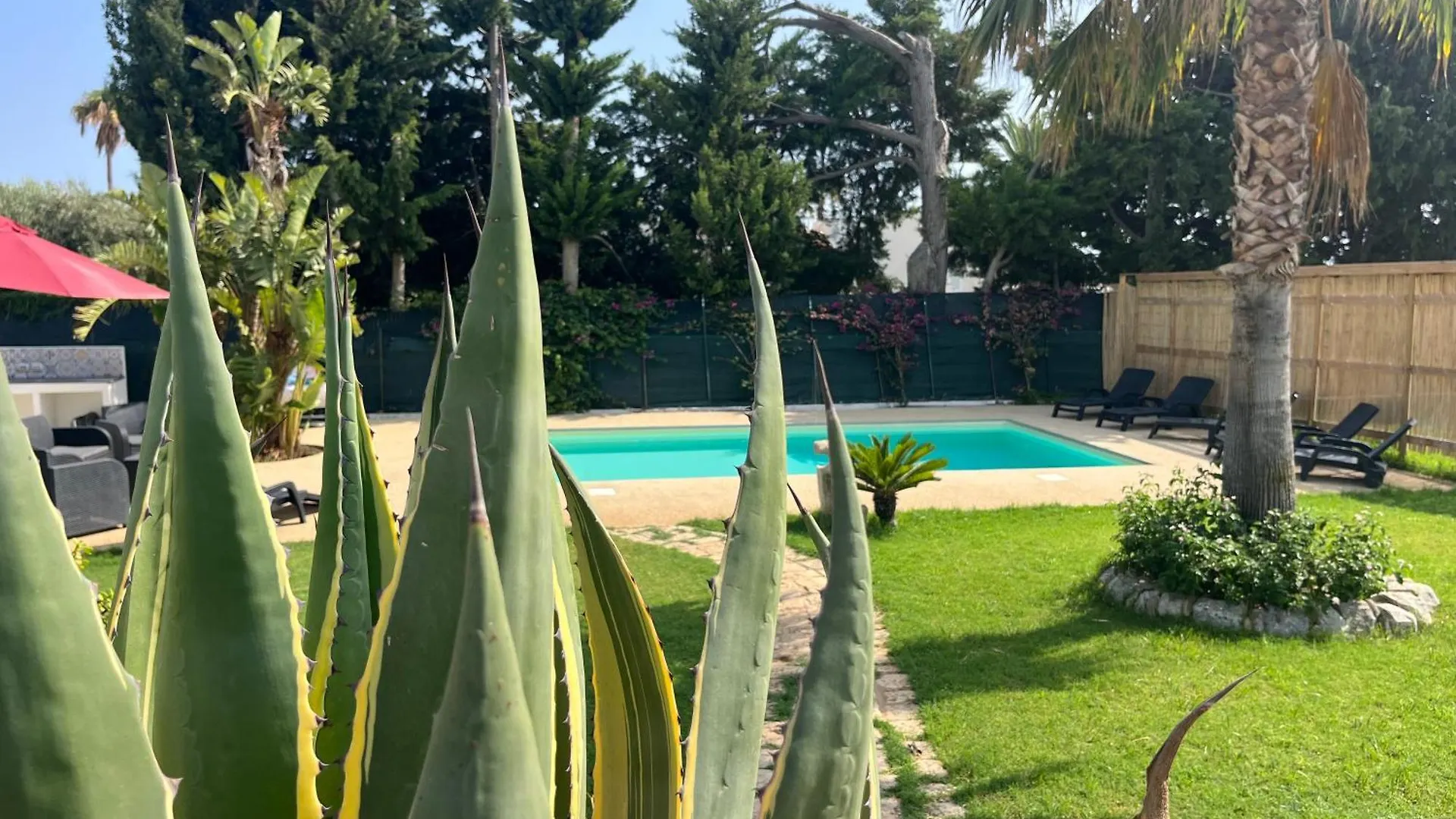 Nettuno 2023 Villa Marina di Ragusa