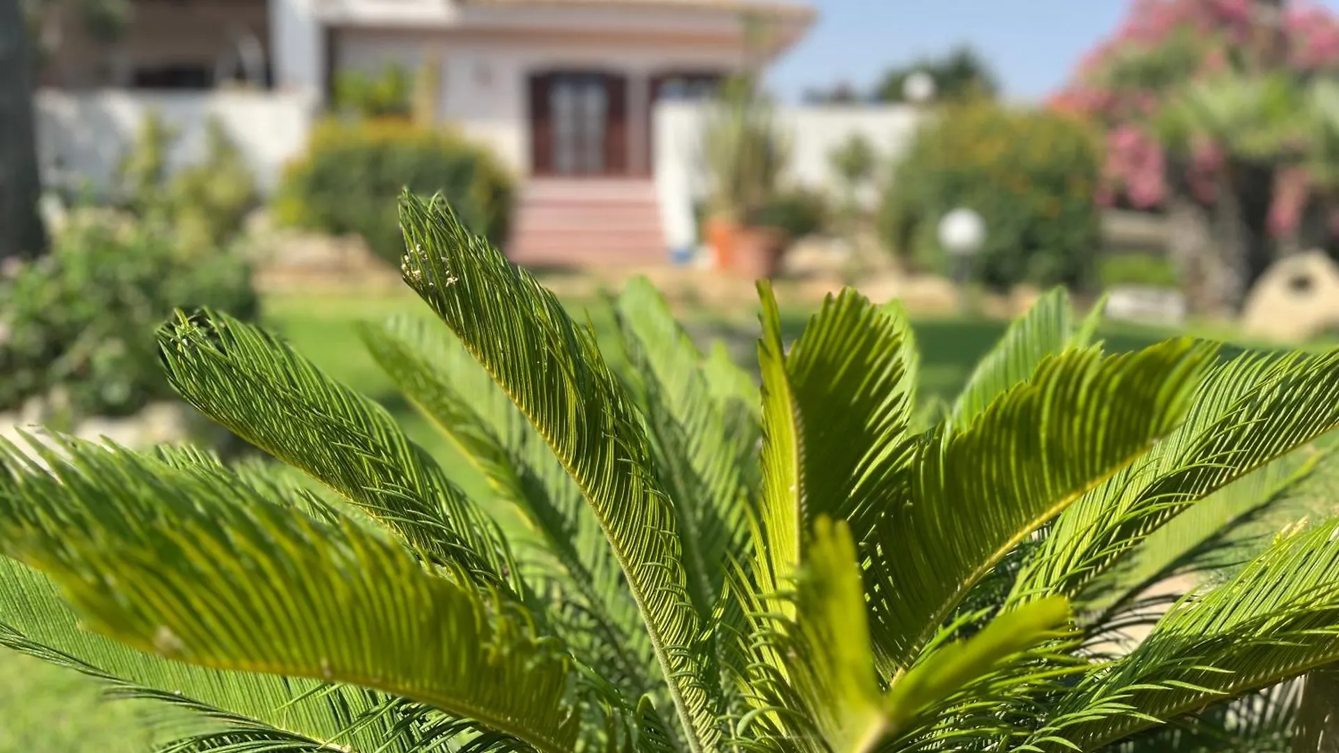 فيلا Nettuno 2023 مارينا دي راغوزا إيطاليا